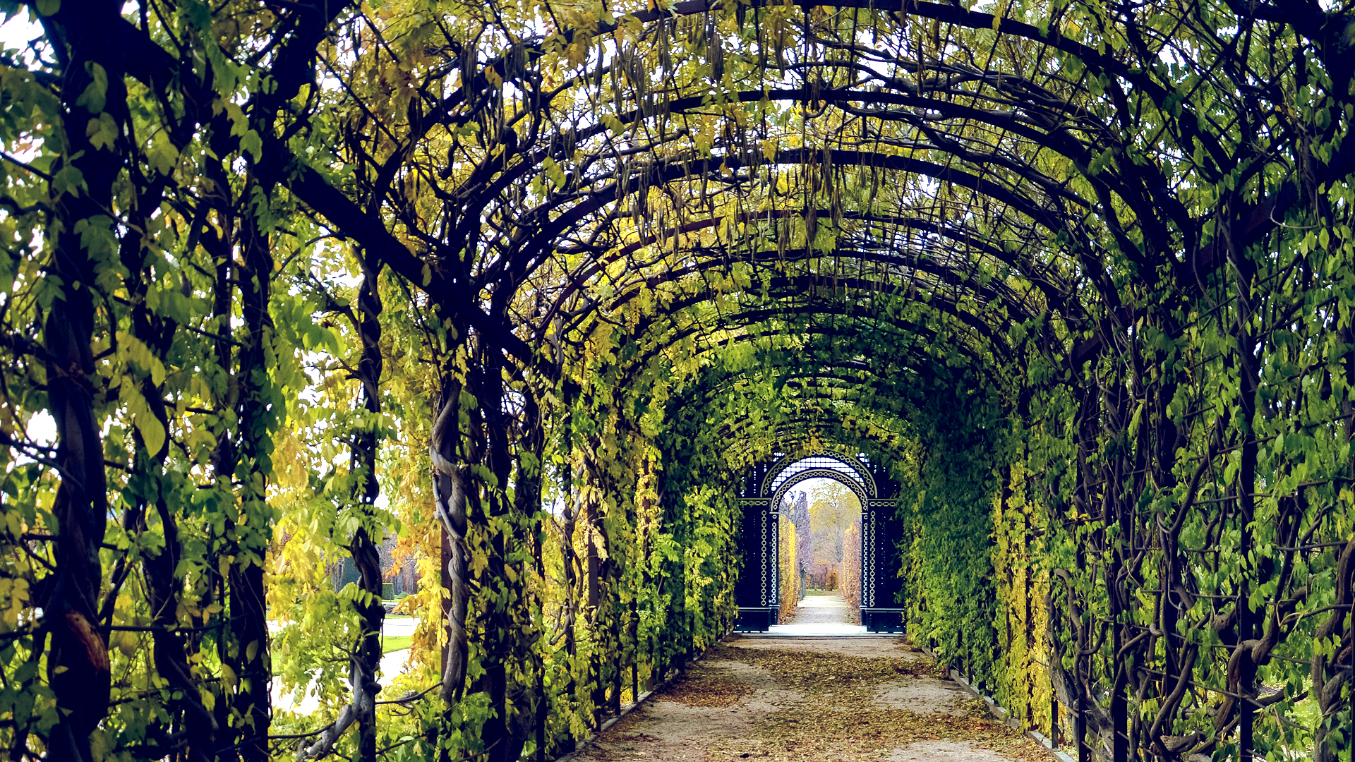 gallery bg img
